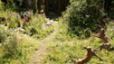 Skyshades Garden