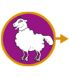Sally the Sheep
