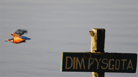 no_fishing.jpg