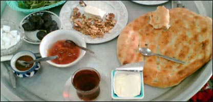 سهار ناری