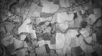 The Agricultural Revolution