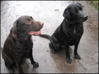 Moby with his pal