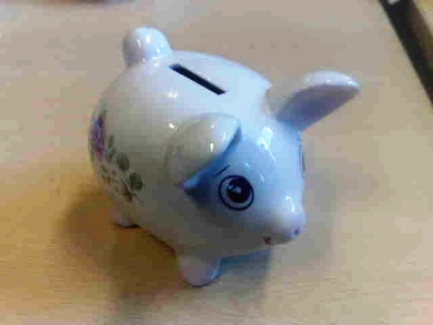 pm_pig2.JPG