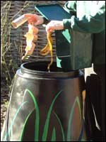Compost bin