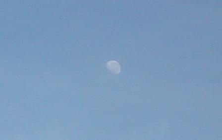 the same moon 
