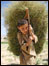 دماشوم اروايي ستونزې