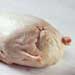 raw duck