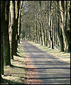 Trough of Bowland by Bill