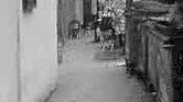 Dark Alley