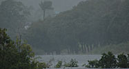 Rio Negro, Brazil