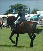 Royal Show