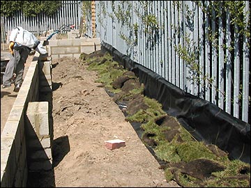 The raised bed
