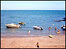 East Devon