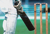 Chwarae criced