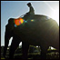 Reserva de Yala