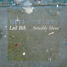 Review of Sensible Shoes 