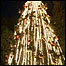 Árvore de Natal em Belém