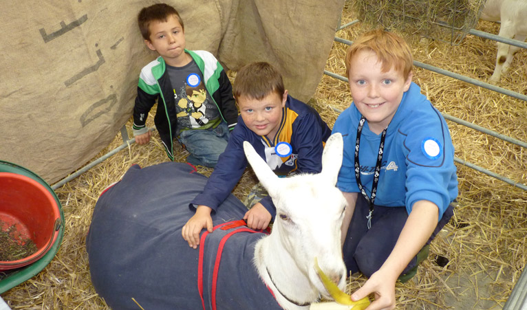 Angus, Toby and Cai