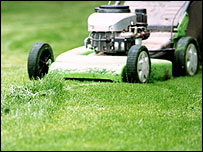 A lawnmower