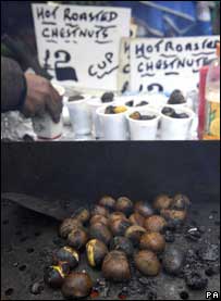 castanha.jpg