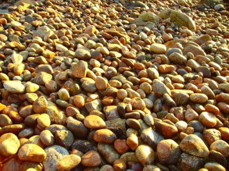Rocky beach, point