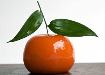 meat-fruit.jpg
