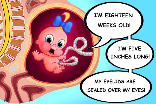 baby_blog2.jpg