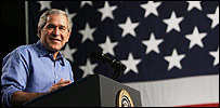 bush203.jpg