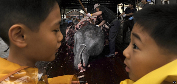 Children_and_whale