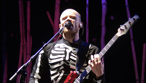 Flea