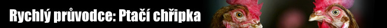 Rychlý průvodce: Ptačí chřipka