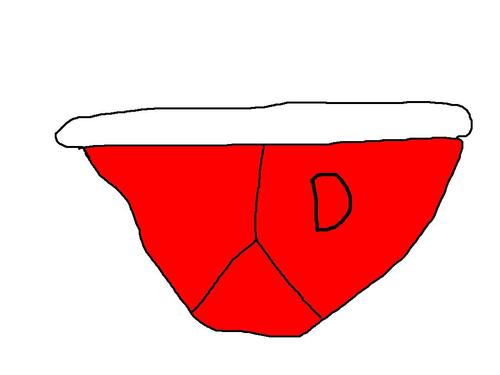 D-briefs