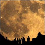 moon_watching.jpg
