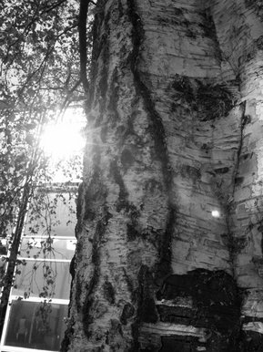 light reflectionsu