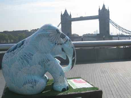 elephant48.jpg