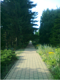 Botanical garden