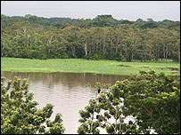 Rừng Amazon