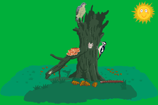 Dead tree