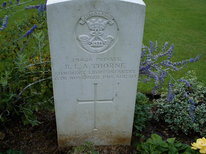 Bertie Thorne