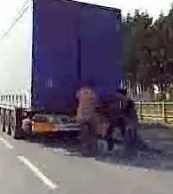 cal2.JPG