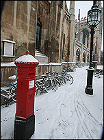 King's snow