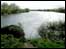 River Severn Lower Parting