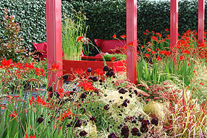 red_rhythm_by_lee_belgrau.jpg