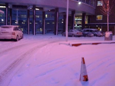 snowy3.JPG