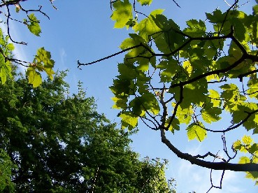 Beautiful clear day
