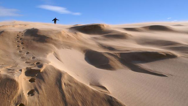 Sands of Forvie