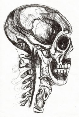 skull