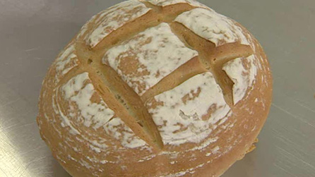 Bread