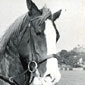 Brian Dougan