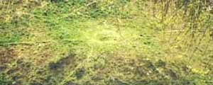 Lochnagar Crater today